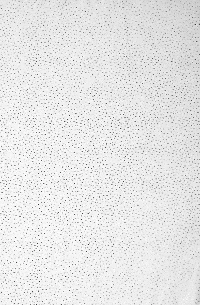 Gold & Silver Flecked Tissue Paper - 8 pc. - Image 2